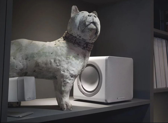 Cambridge Audio Minx X201 - cecha 1